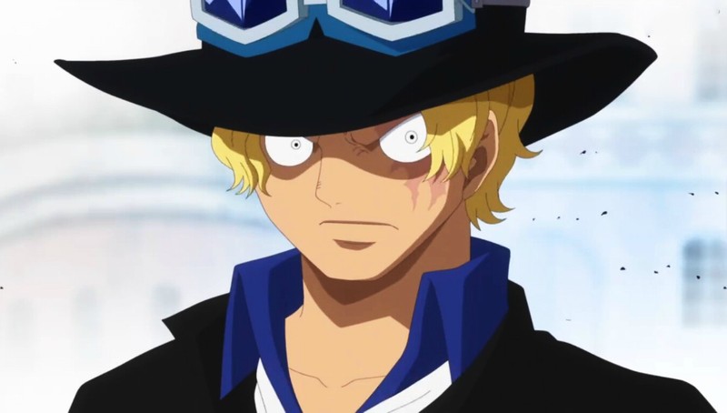 #语录#  草帽路飞是我的弟弟，你找他有什么事？