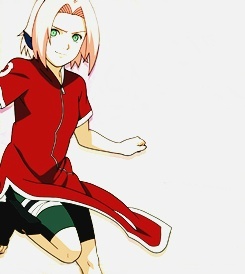 木叶的四朵金钗[花心]