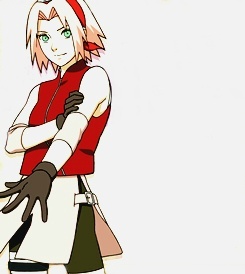 木叶的四朵金钗[花心]