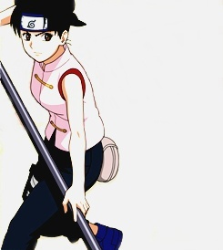 木叶的四朵金钗[花心]