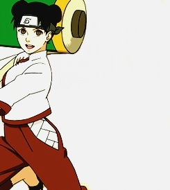 木叶的四朵金钗[花心]