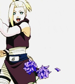 木叶的四朵金钗[花心]