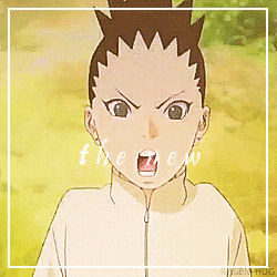 火影新一代，木叶新时代！[男神]