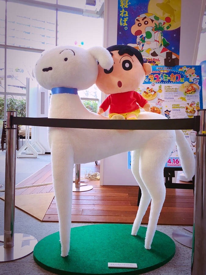 [吃惊]小白，你肿么了？进化了吗？[笑cry][哈哈][挖鼻屎]