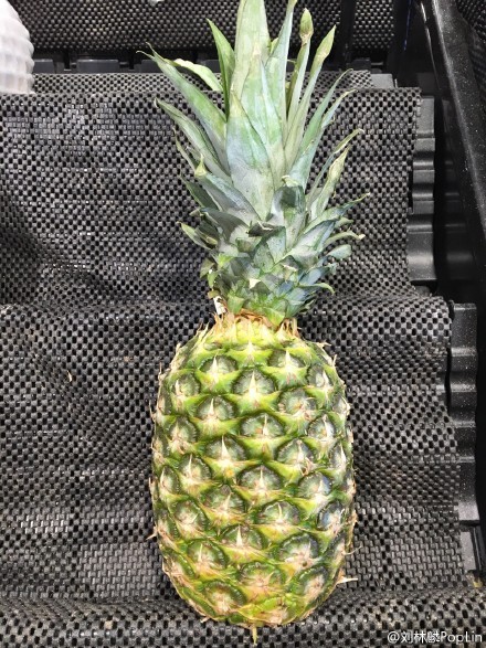 火影另类Cosplay，高手在民间呀[笑cry][笑cry][写轮眼]