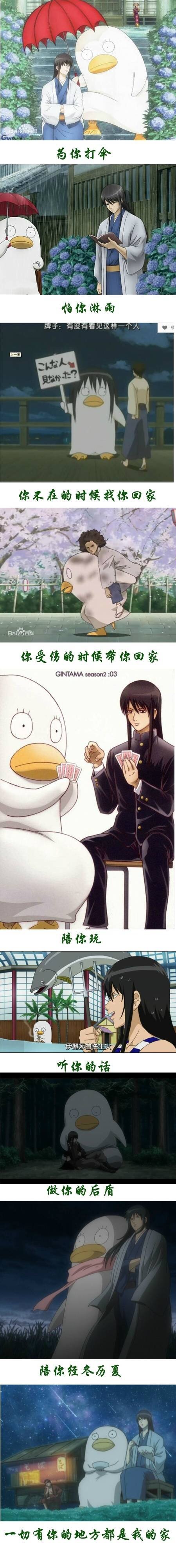 伊丽莎白，银魂第一萌宠，暖暖的好舒服[哈哈]