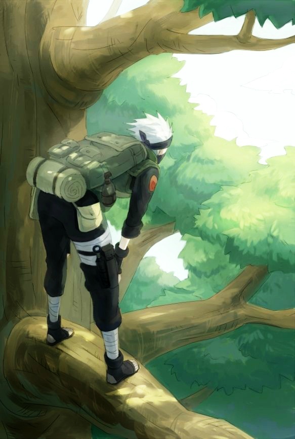 火影高清壁纸分享[花心]