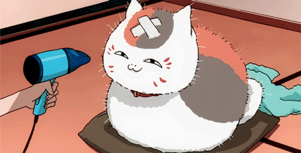 贵志和他的萌宠[哈哈]