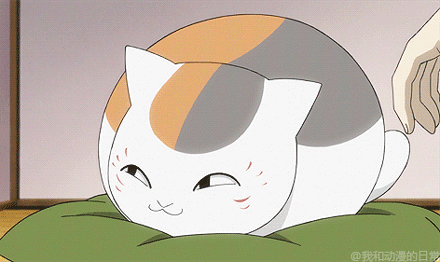 贵志和他的萌宠[哈哈]