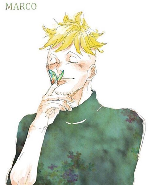 海贼男神水彩肖像，心动不[花心]