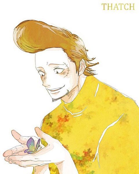 海贼男神水彩肖像，心动不[花心]