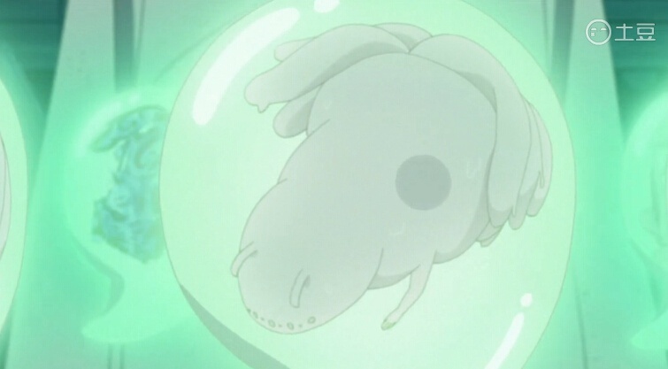 尾兽宝宝们，好萌的说[可怜]