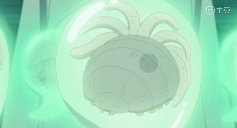 尾兽宝宝们，好萌的说[可怜]