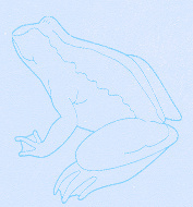 图案，故事
信仰，青春
瞬间，曾经
温暖，回忆