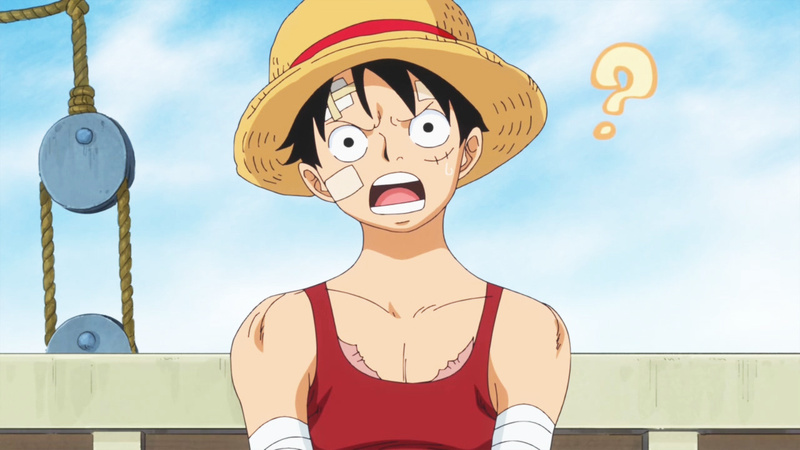 藤虎的正义是遵从民众的意志，路飞的信念则是遵从内心的自由！