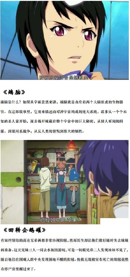 烧脑动画，补番专用，情节刺激，故事引人[嘻嘻]