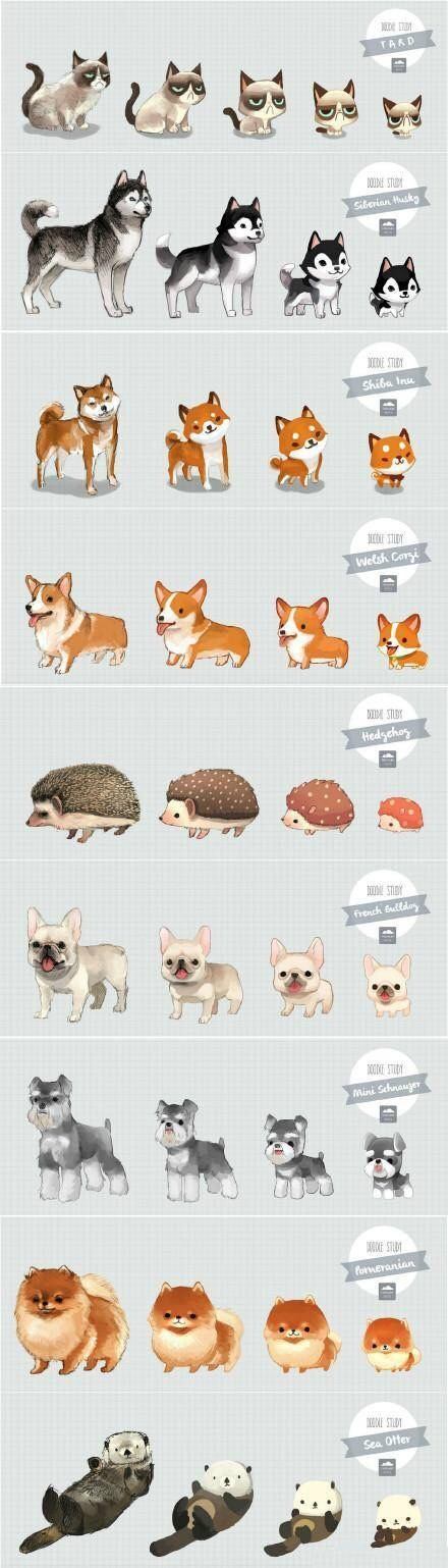 萌萌哒宠物进化论！