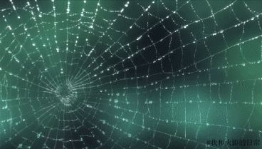 我喜欢夏天的雨
雨后的光 
和任何时候的你
#二次元三次元#