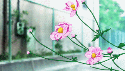 我喜欢夏天的雨
雨后的光 
和任何时候的你
#二次元三次元#