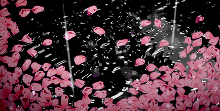 我喜欢夏天的雨
雨后的光 
和任何时候的你
#二次元三次元#