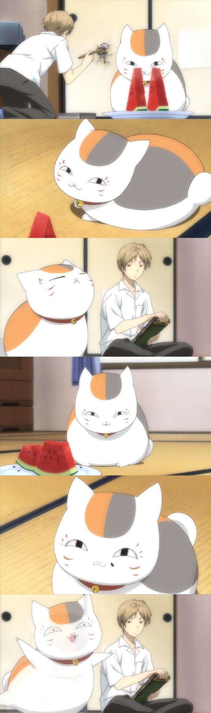 猫咪老师就是只吃货[哈哈]