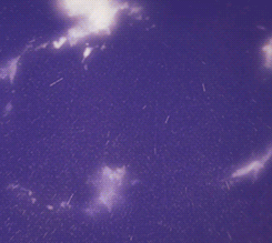 失去了就渴望拥有，拥有了又害怕失去，可就算这样，还是希望经历过，怕错过。