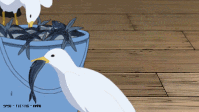 [男神]
这里是？