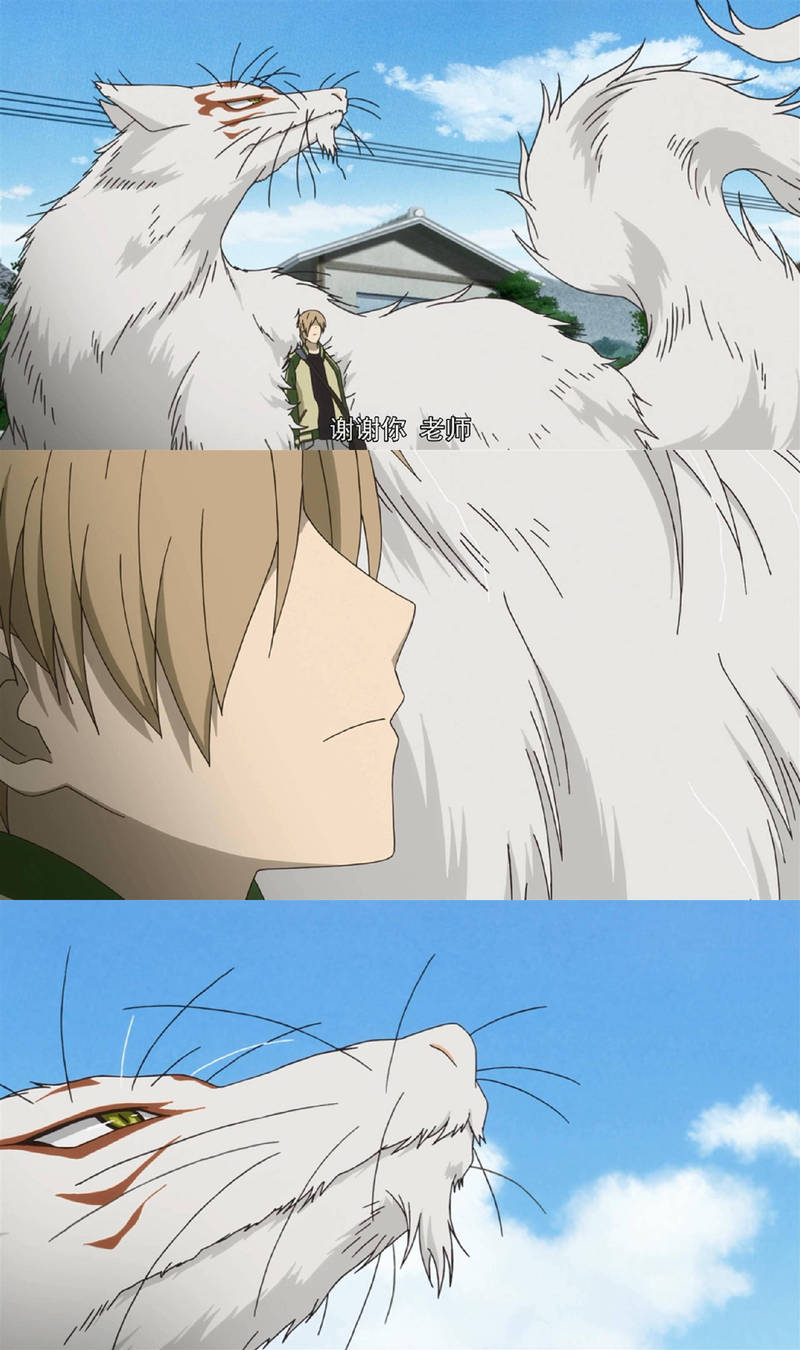 陪伴与守护 
“老师 你也总有一天会对我动感情的吧” “那你又怎样呢” “谁知道呢”
夏目#话语#