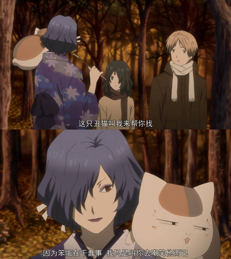 言不由衷的猫咪老师，太傲娇啦！[哈哈]
太可爱了