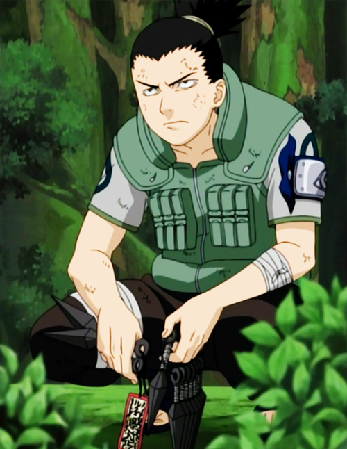 坚强且永不言弃的鸣人，本性善良的复仇者佐助，把悲伤埋于心底的卡卡西，刚毅又柔弱的小樱；智商超高怕麻烦的鹿丸，一生渴望自由的天才宁次，在黑暗中穿行的英雄宇智波鼬，孤独的我爱罗，好色的自来也，温柔的四代，还有好多好多...就是这么一群人温暖了我整个青春，他们叫做火影忍者[嘻嘻]