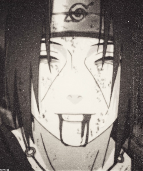 坚强且永不言弃的鸣人，本性善良的复仇者佐助，把悲伤埋于心底的卡卡西，刚毅又柔弱的小樱；智商超高怕麻烦的鹿丸，一生渴望自由的天才宁次，在黑暗中穿行的英雄宇智波鼬，孤独的我爱罗，好色的自来也，温柔的四代，还有好多好多...就是这么一群人温暖了我整个青春，他们叫做火影忍者[嘻嘻]