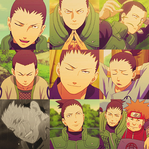 我本来想随便当个忍者,随便赚点钱……然后和不美又不丑的女人结婚生两个小孩,第一个是女孩,第二个是男孩……等长女儿结婚,儿子也能够独当一面的时候,就从忍者的工作退休……之后,每天过着下象棋或围棋的悠闲隐居生活…然后比自己的老婆还要早老死……我就是想过这种生活……——奈良鹿丸#话语#