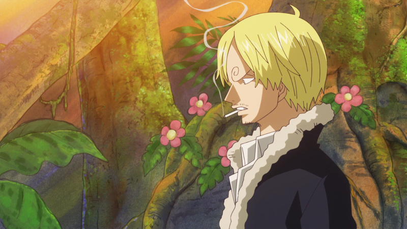 海贼王第763集山治表情截屏[嘻嘻]
大爱我厨子