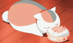 夏目友人帐本周猫咪老师的小表情，这表情包太萌了[可怜][哈哈]