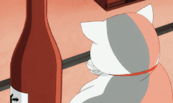 夏目友人帐本周猫咪老师的小表情，这表情包太萌了[可怜][哈哈]