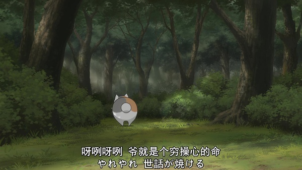 陪伴是最长情的告白，猫咪老师赛高！！